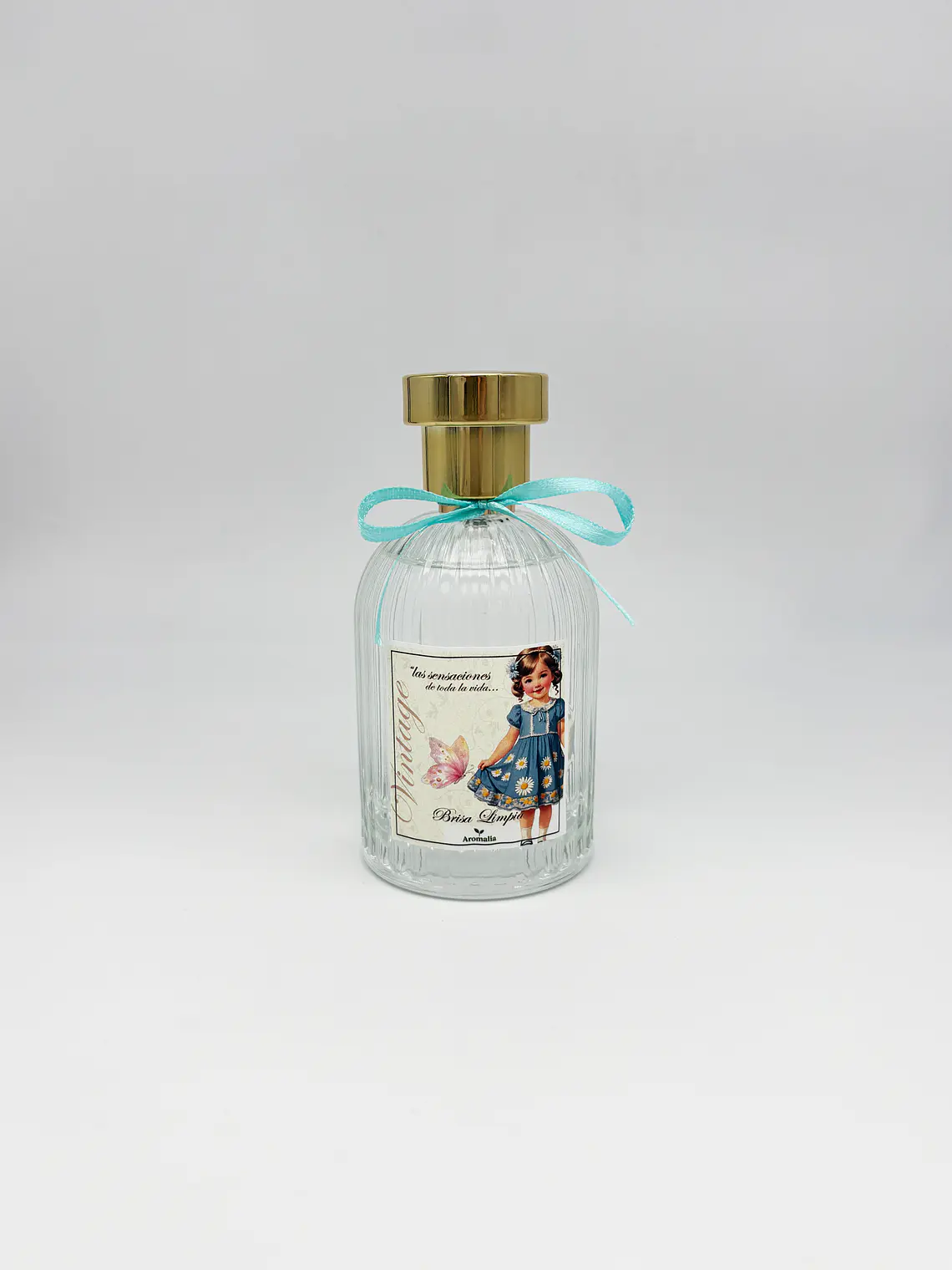 Ambientador Spray Brisa Limpia 100 ml 1