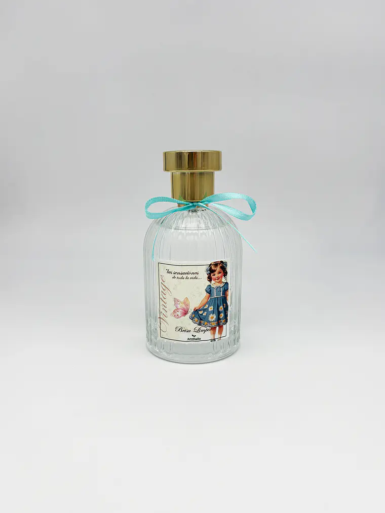 Ambientador Spray Brisa Limpia 100 ml 1