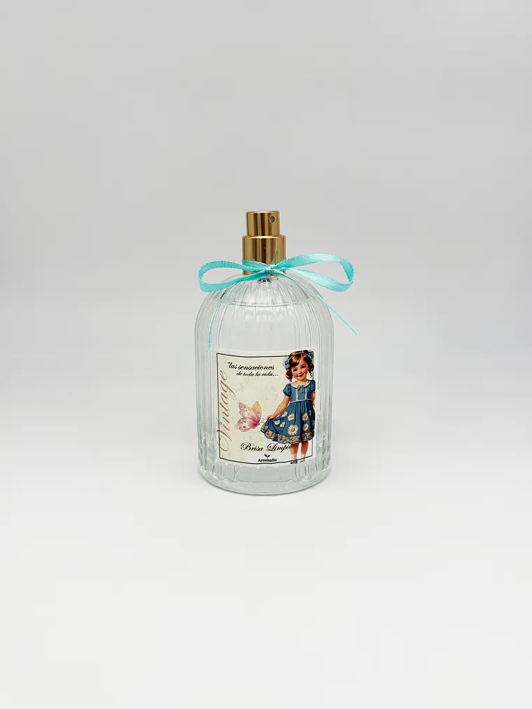 Ambientador Spray Brisa Limpia 100 ml 2