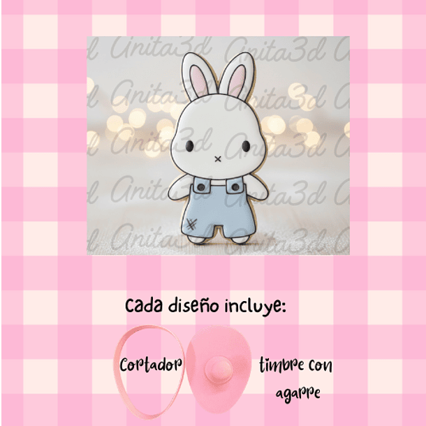 conejito con jardinera 1075  