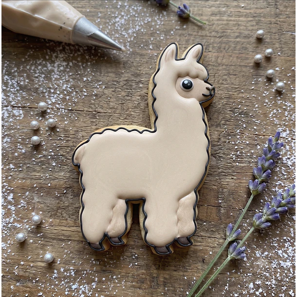 Alpaca  