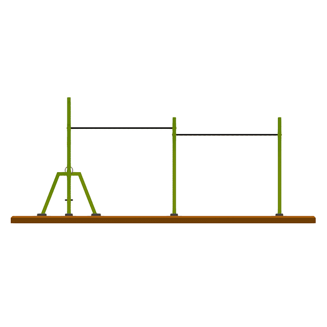 CALISTENIA MOD PASAMANOS CON SOGA Y ANILLAS 