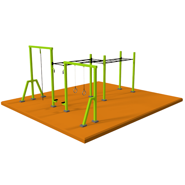 CALISTENIA MOD PASAMANOS CON SOGA Y ANILLAS 