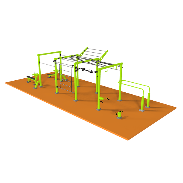 TOTAL CALISTHENICS 12 USERS