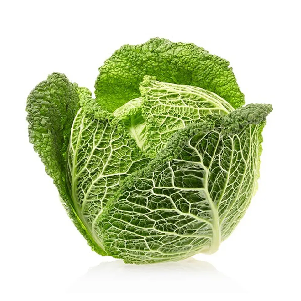 Repollo 1