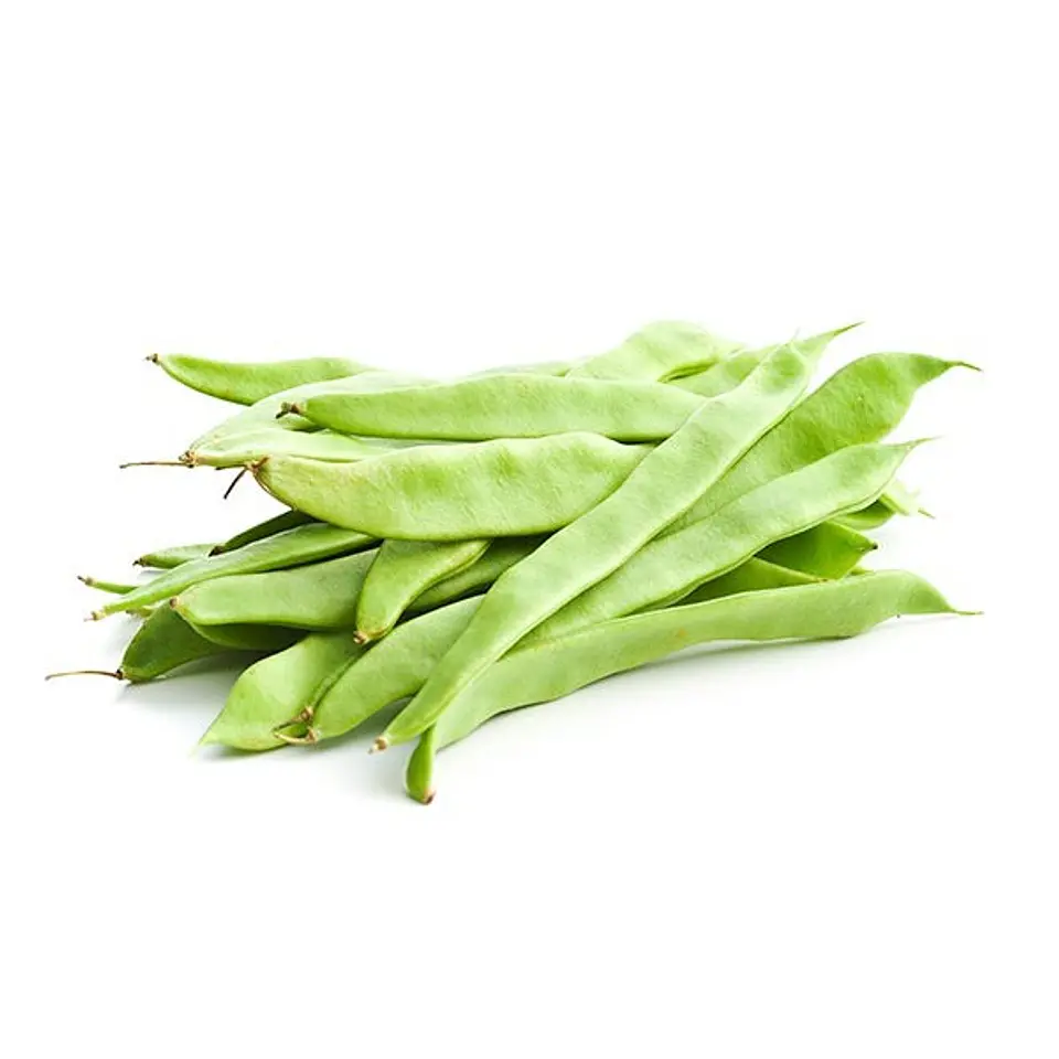 Poroto Verde 1