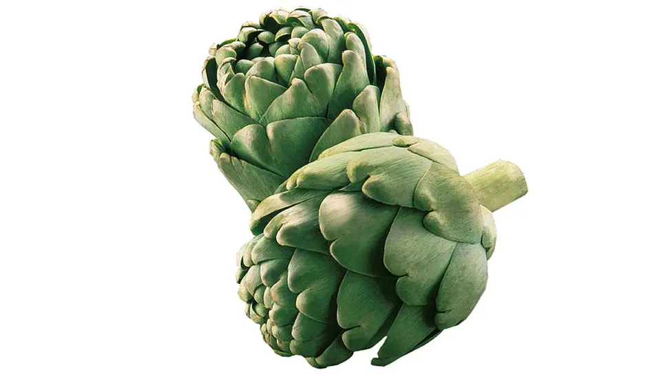 Alcachofa 1
