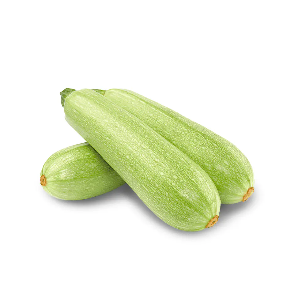 Zapallo Italiano 1