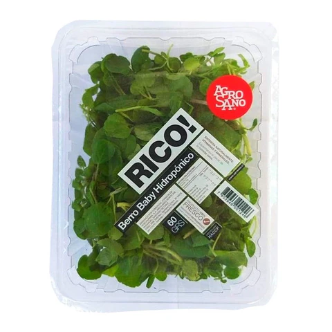 Berro Baby Hidroponico
