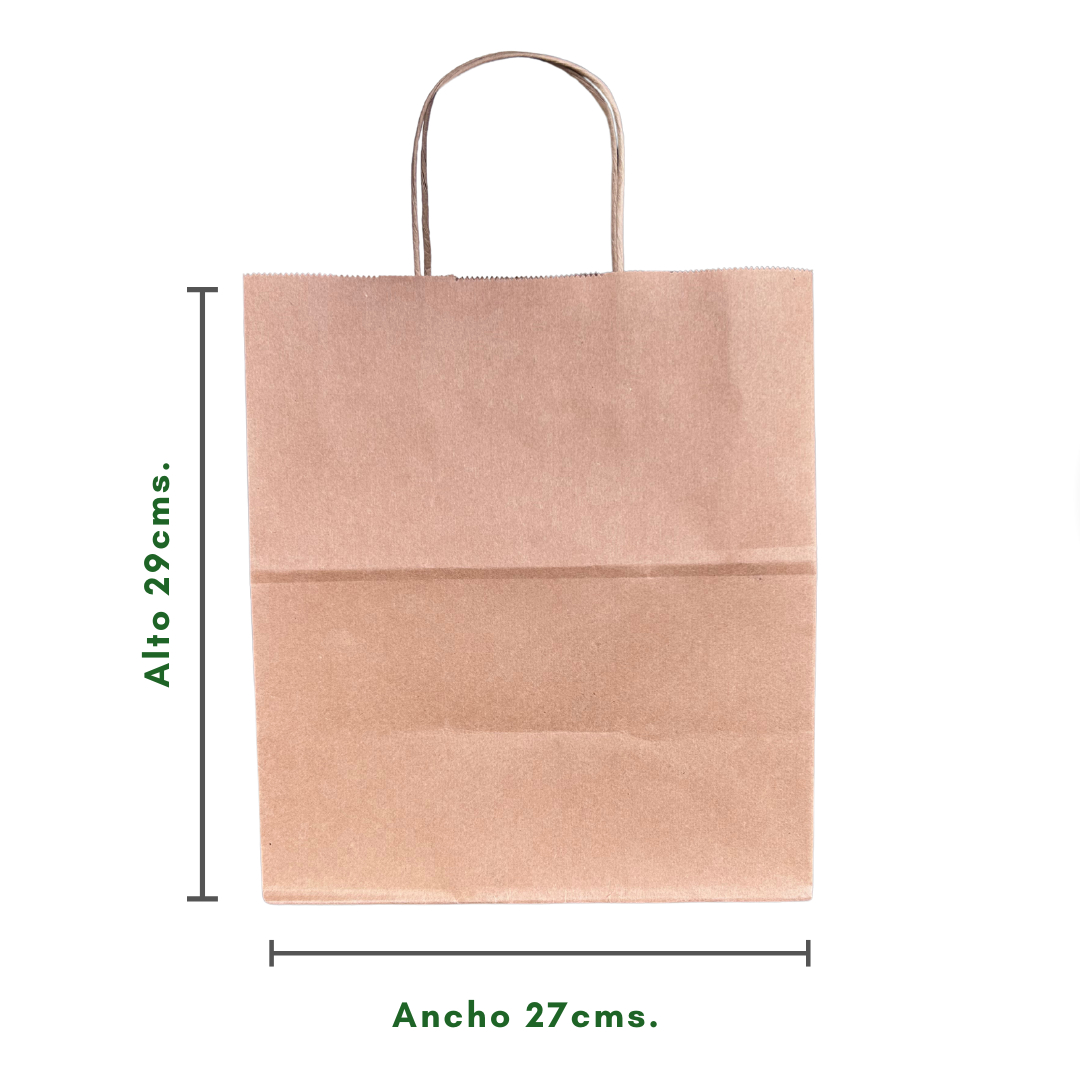 Bolsa Papel Kraft 27x 16 x 29cm 1