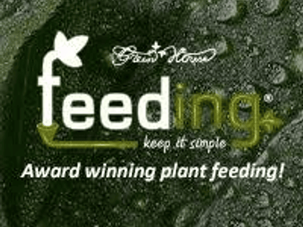 GreenHouse Feeding