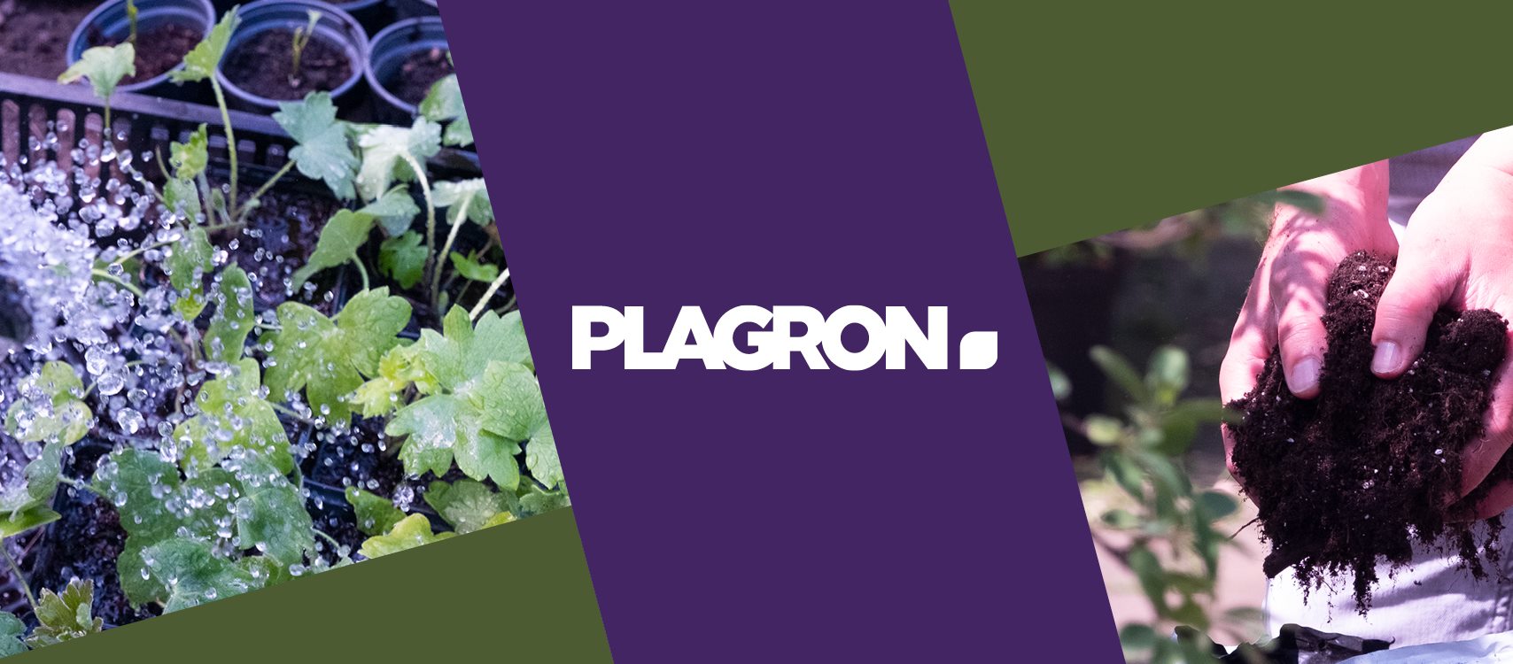 Plagron