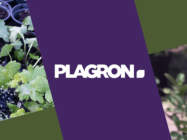 Plagron