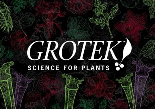 Grotek