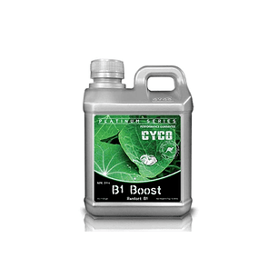 B1 BOOST CYCO 1L