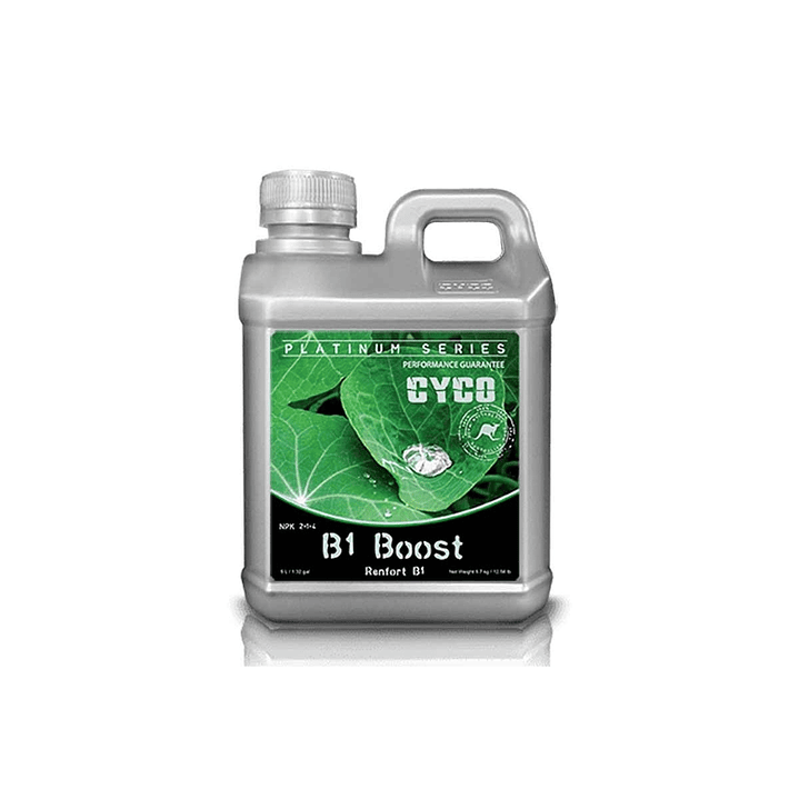 B1 BOOST CYCO 1L 1