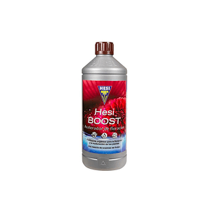 HESI BOOST 1L