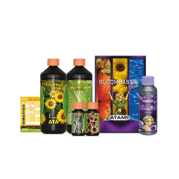 BOX BLOOMBASTIC TERRA 1