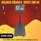 Balanza Báscula Electrónica Brazo Hasta 200 Kg 1