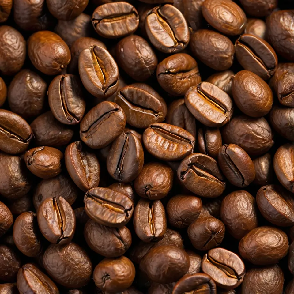 Café descafeinado en grano 1