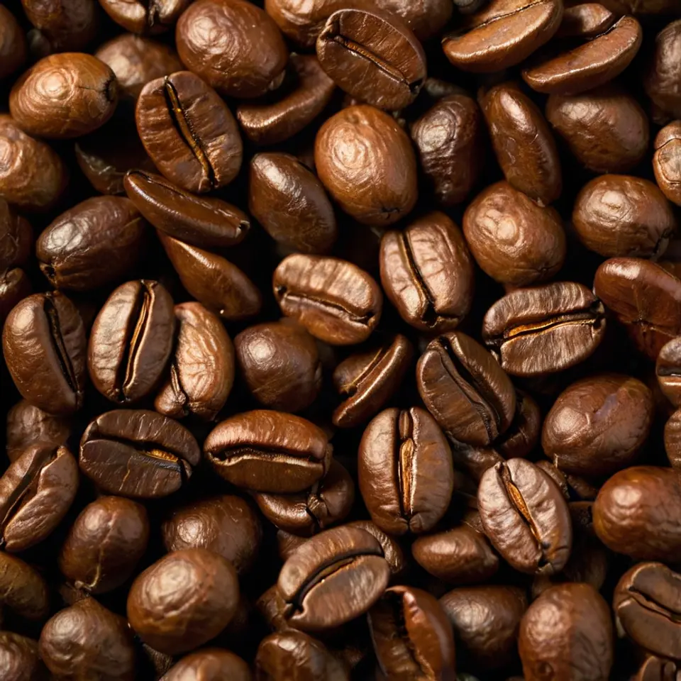 Café en grano Colombia Supremo 1