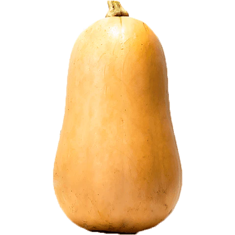 Pumpkin Butternut per unit