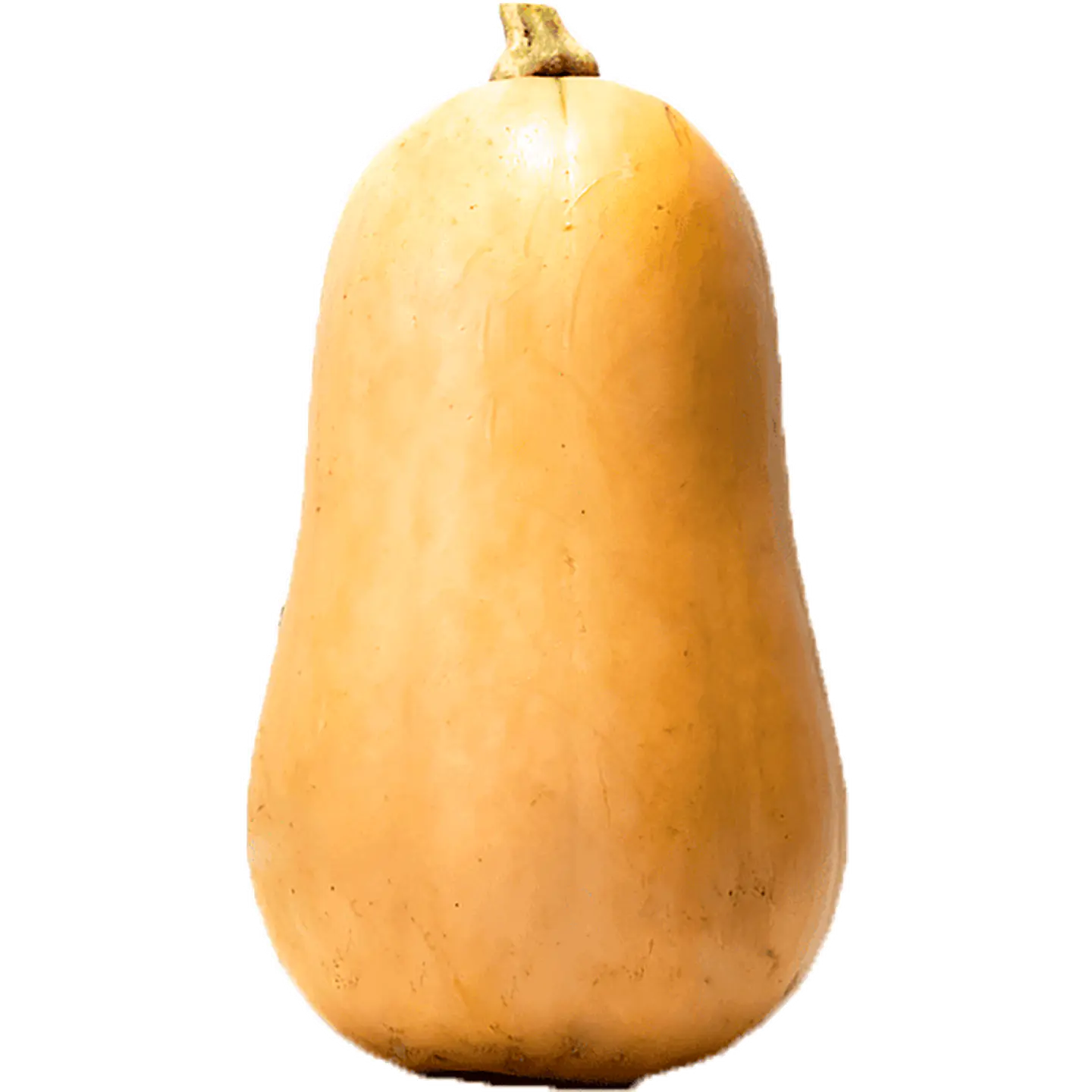 Abóbora Butternut por unidade 1