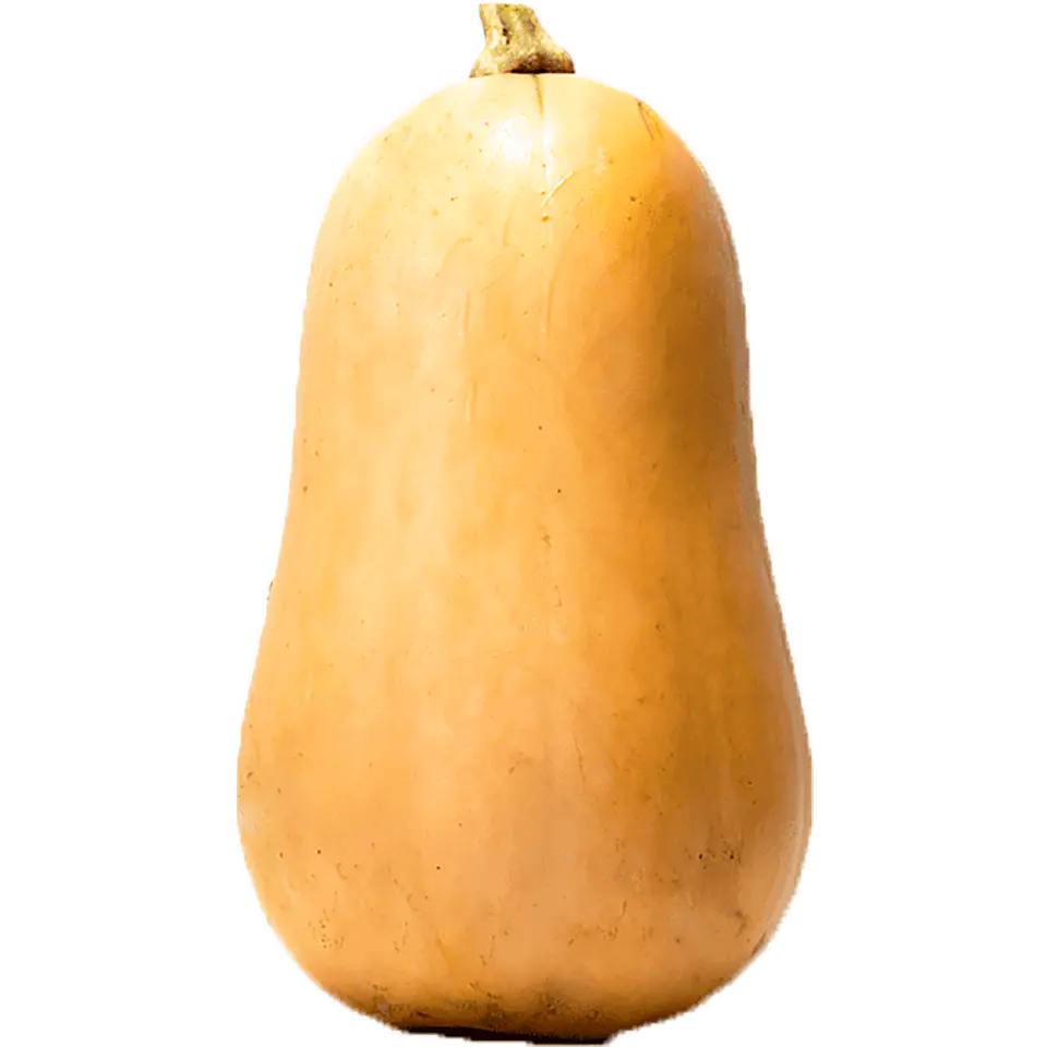 Abóbora Butternut por unidade 1