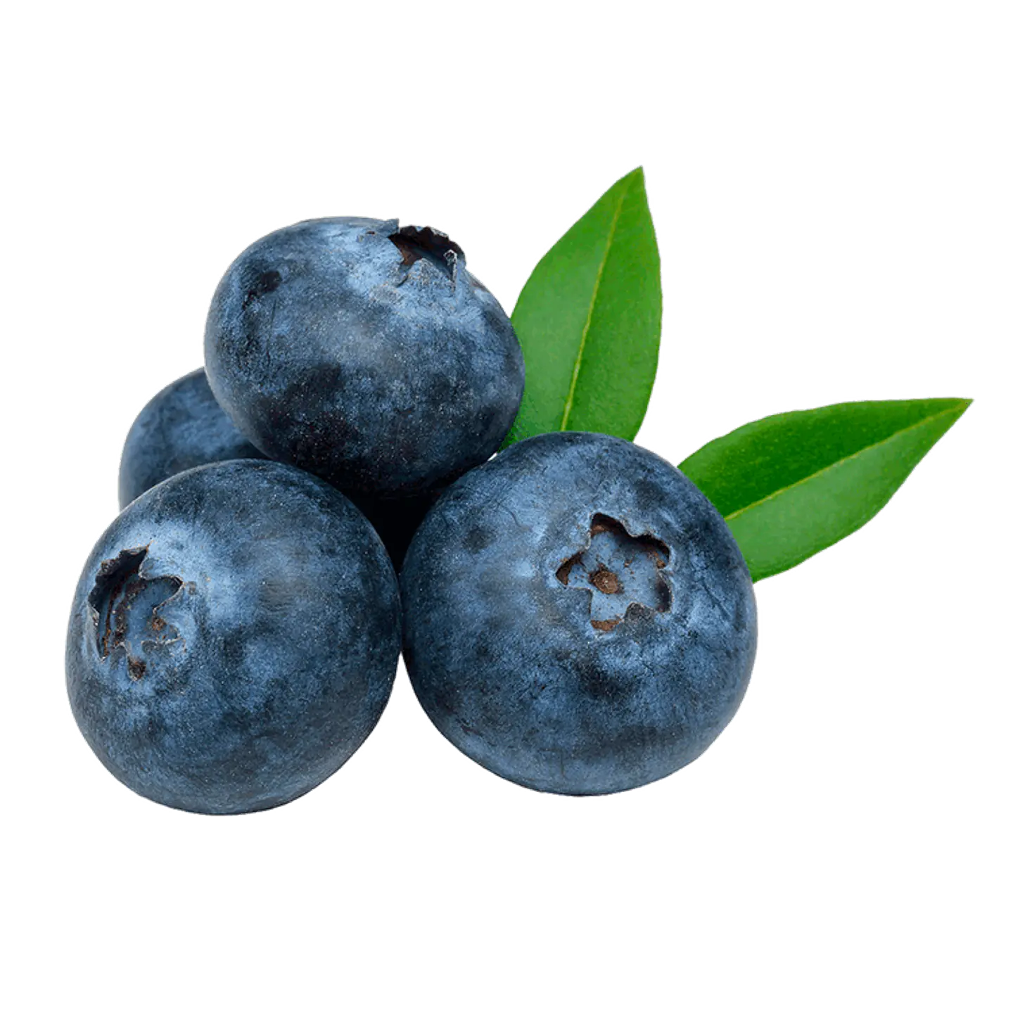 Blueberries pot 125 g 1