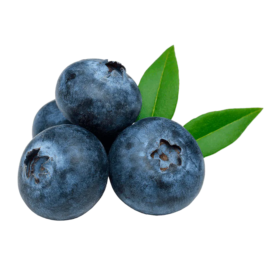 Blueberries pot 125 g 1