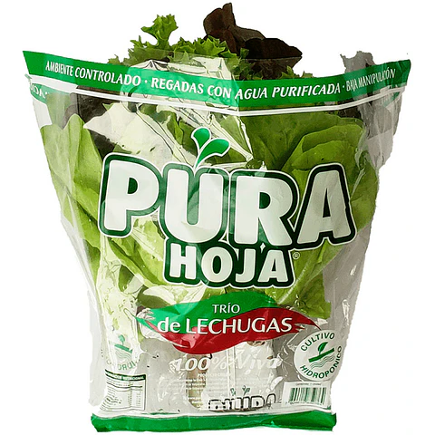 Hidroponic Thrice of Lettuces Pura Hoja 1 unit