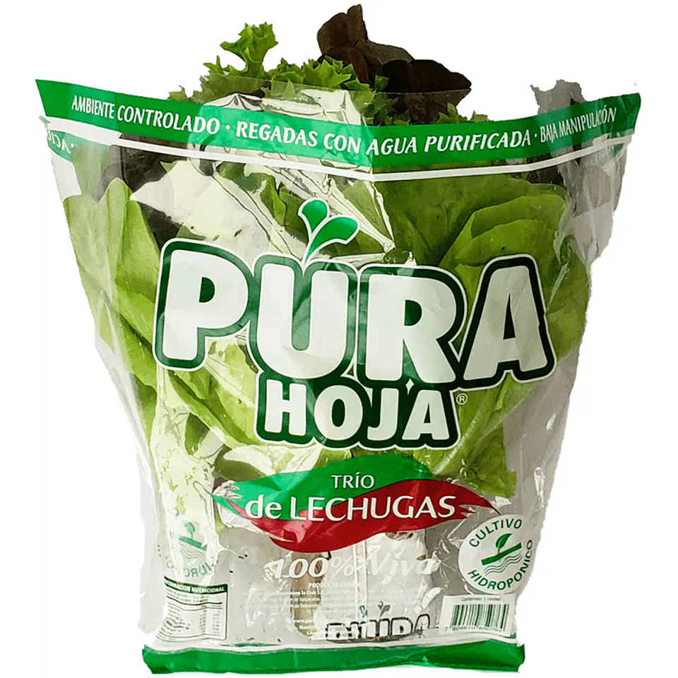 Hydroponic Thrice of Lettuces Pure Leaf 1 unit 1