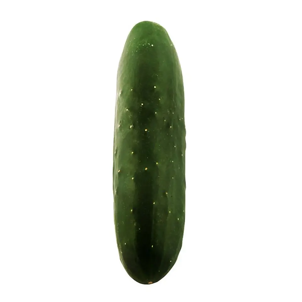 Cucumber Salad by unit 1