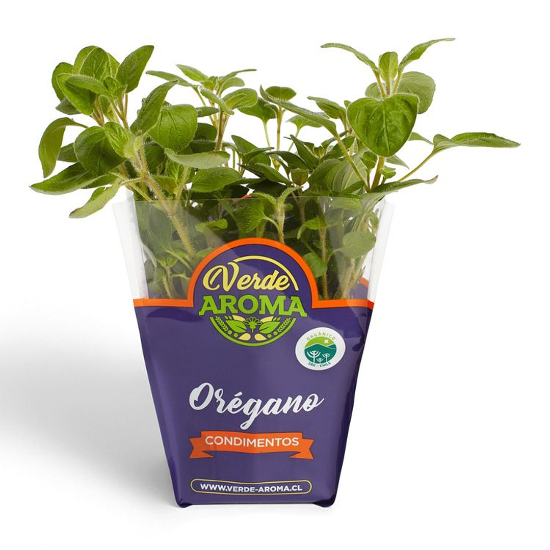 Organic Oregano 1