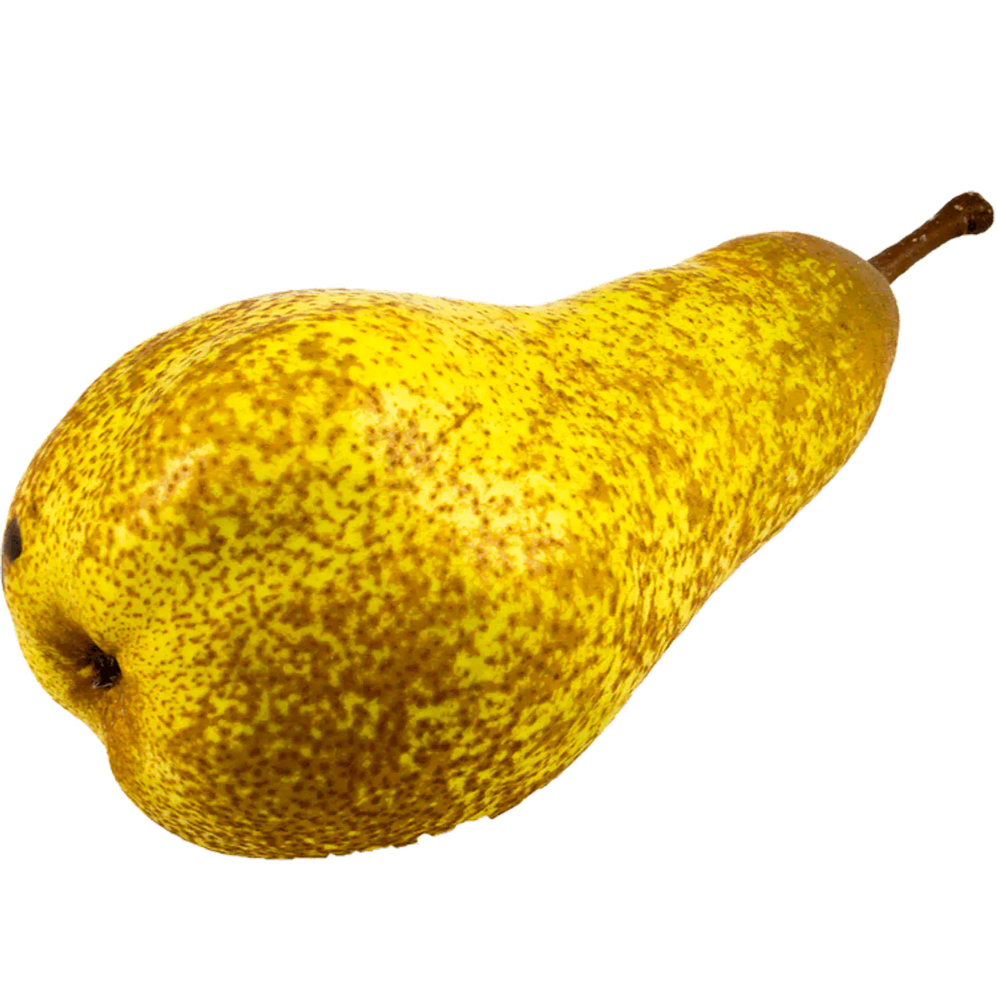 Abate Fetel Pear by unit 1