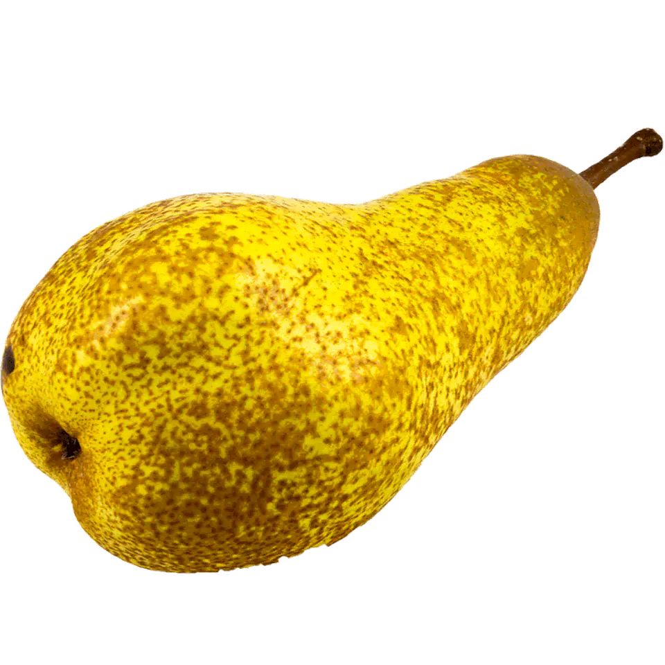 Abate Fetel Pear by unit 1