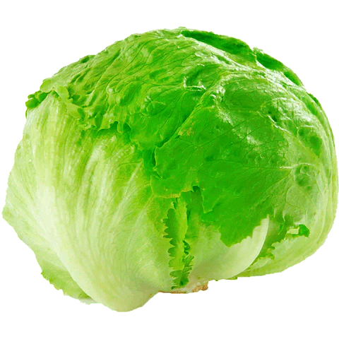 Lettuce escarola by unit