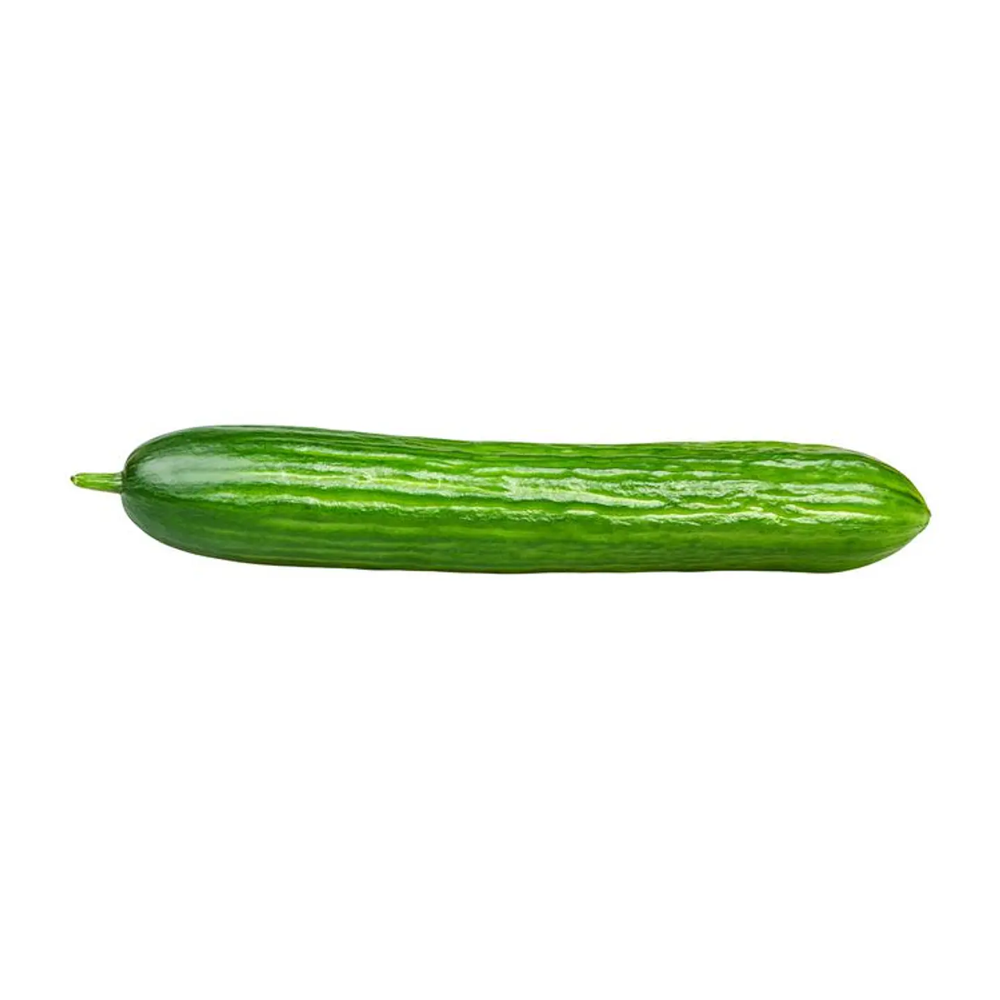 Cucumber alaska by unit 1