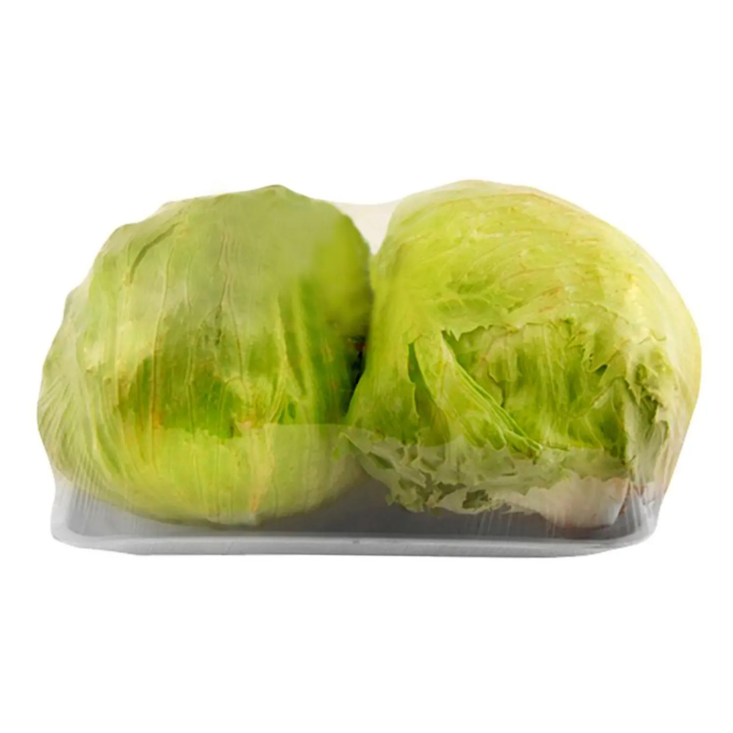 Escarola Lettuce box 2 units 1