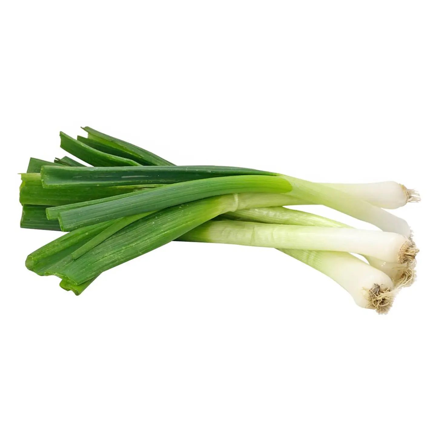 Chives package 6 per unit 1