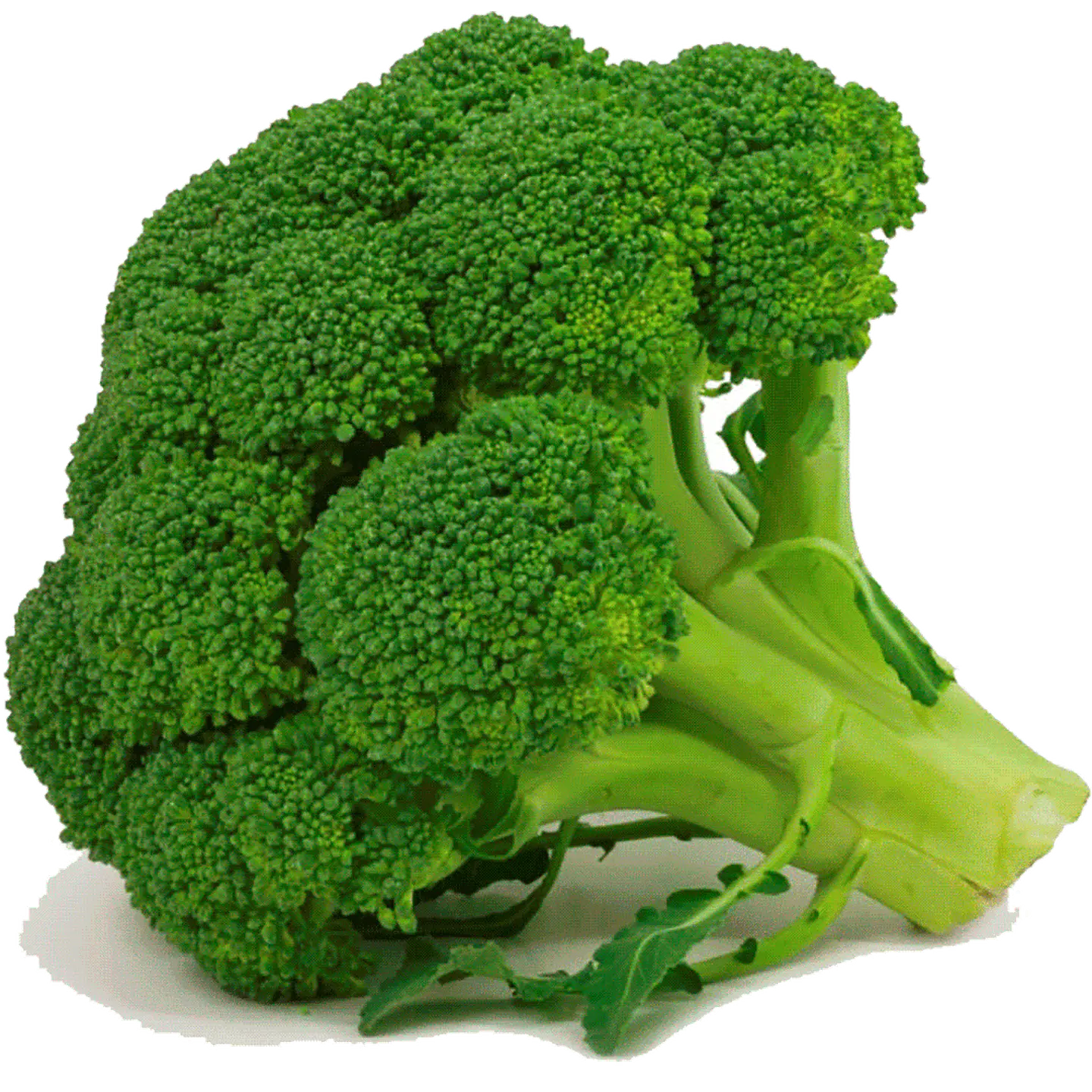 Broccoli per unit 1