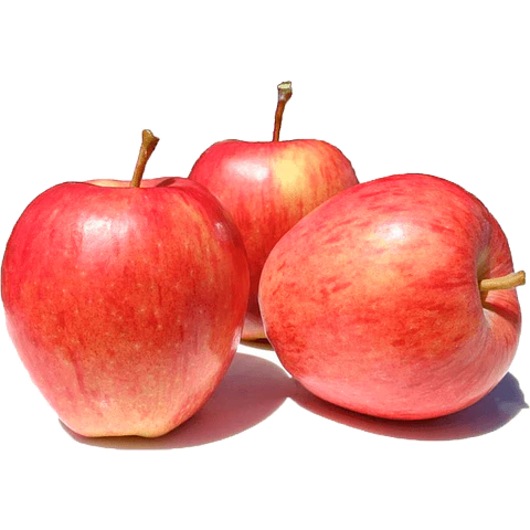 Royal Apple gala export in bag 1 kg