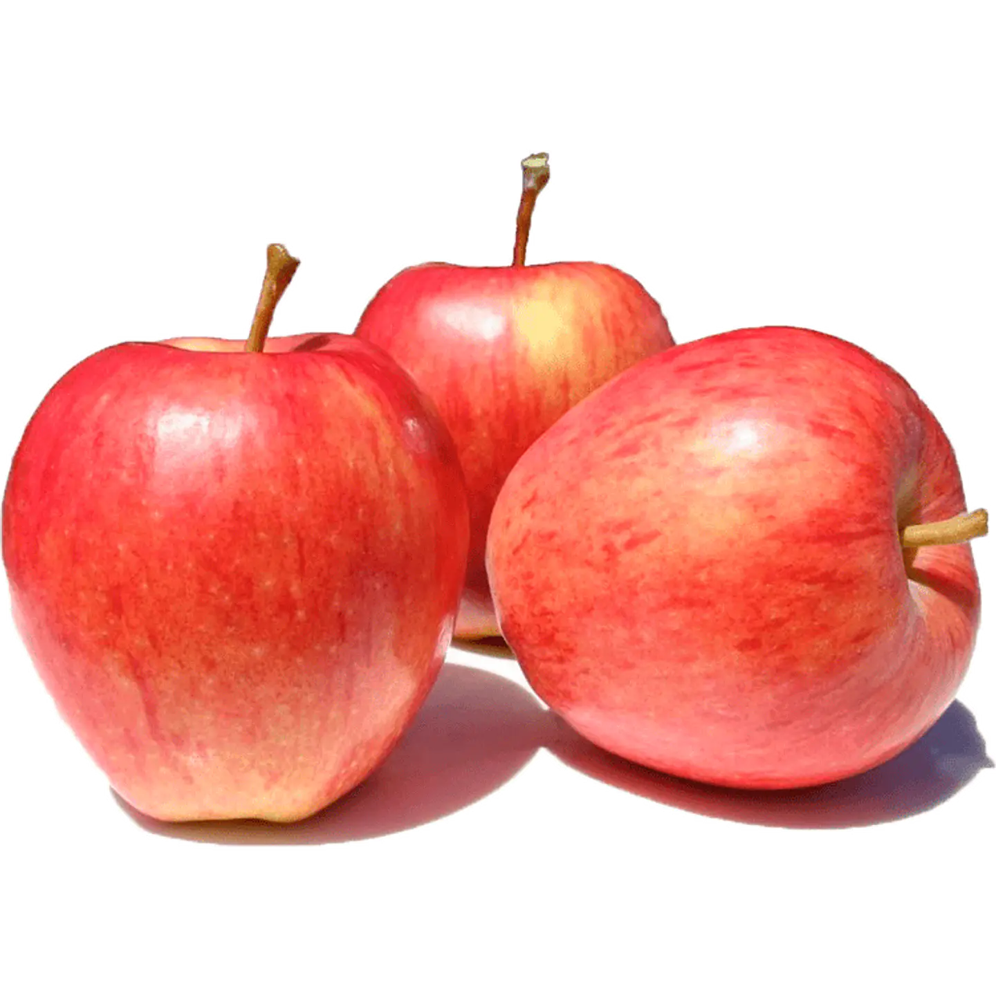 Royal Apple gala export in bag 1 kg 1