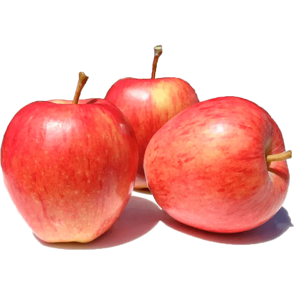 Royal Apple gala export in bag 1 kg 1