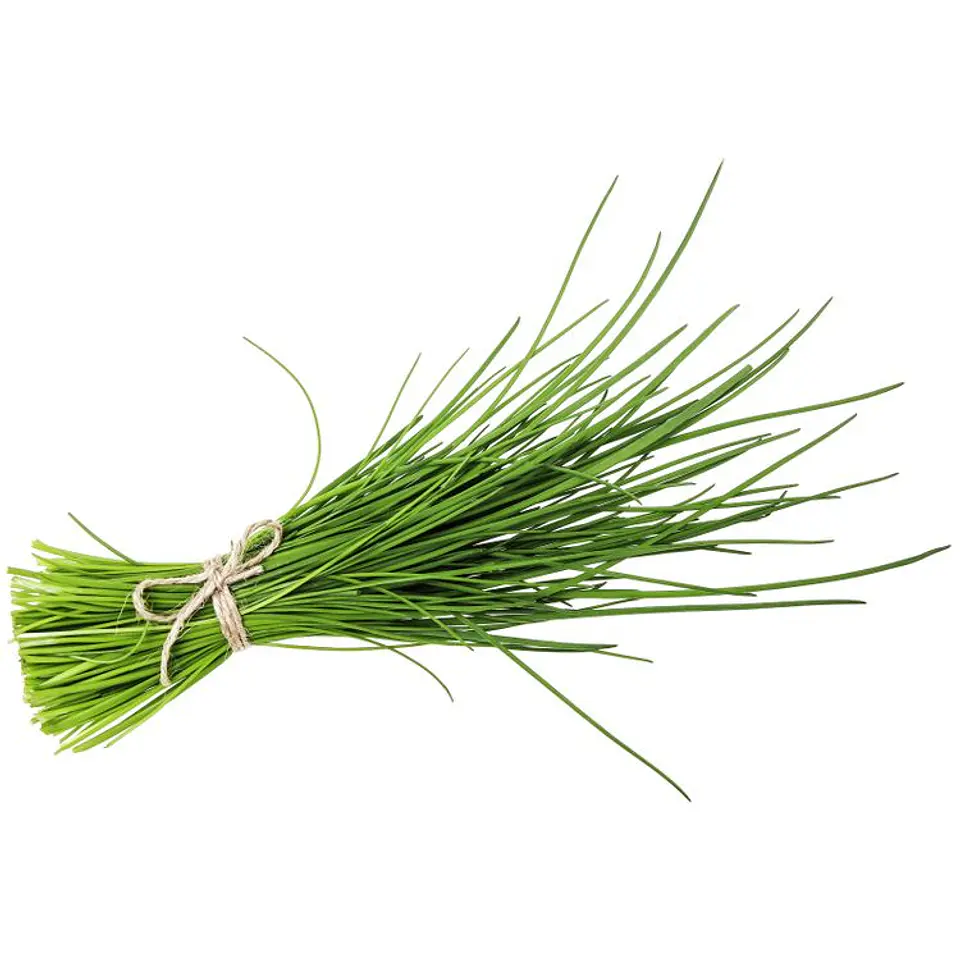 Cebolinha pacote 20 g 1