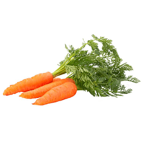 Carrot in bag 1 kg