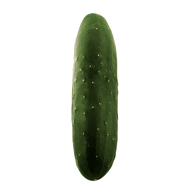 Cucumber Salad by unit