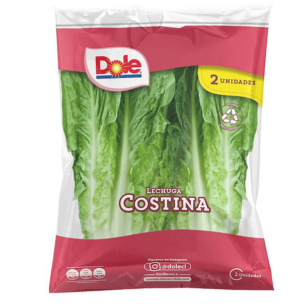 Lettuce costina in bag 2 units