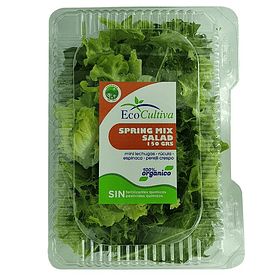 Salada orgânica mix primavera 150 g