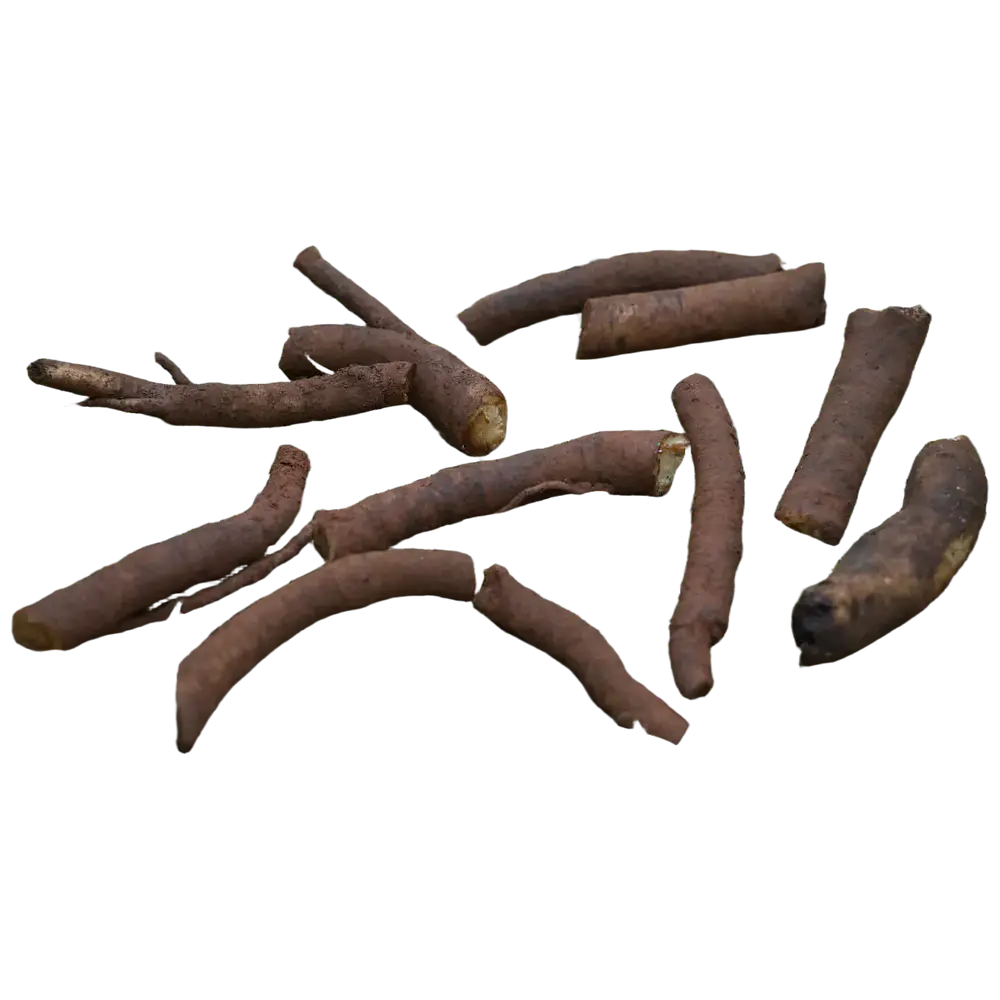 Comfrey Root Cuttings (Symphytum × uplandicum 'Bocking 14')